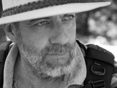 Stephen Fender